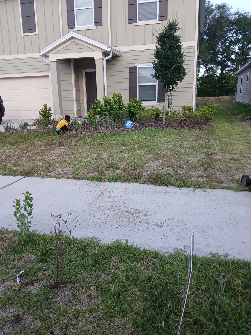 Before lawn and landscape bed care: a refreshed front yard