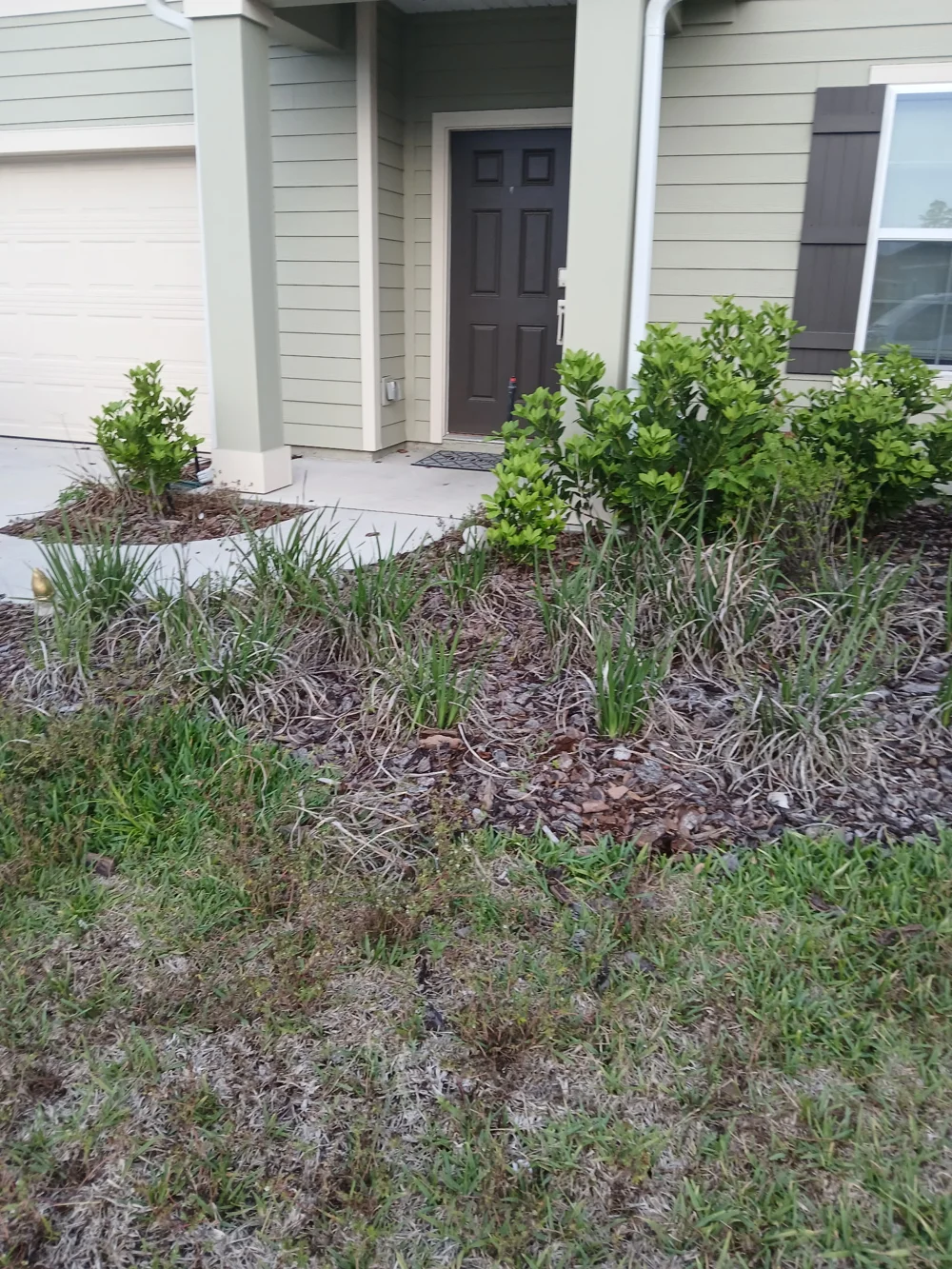 Before lawn and landscape bed care: fresh mulch at the entrance