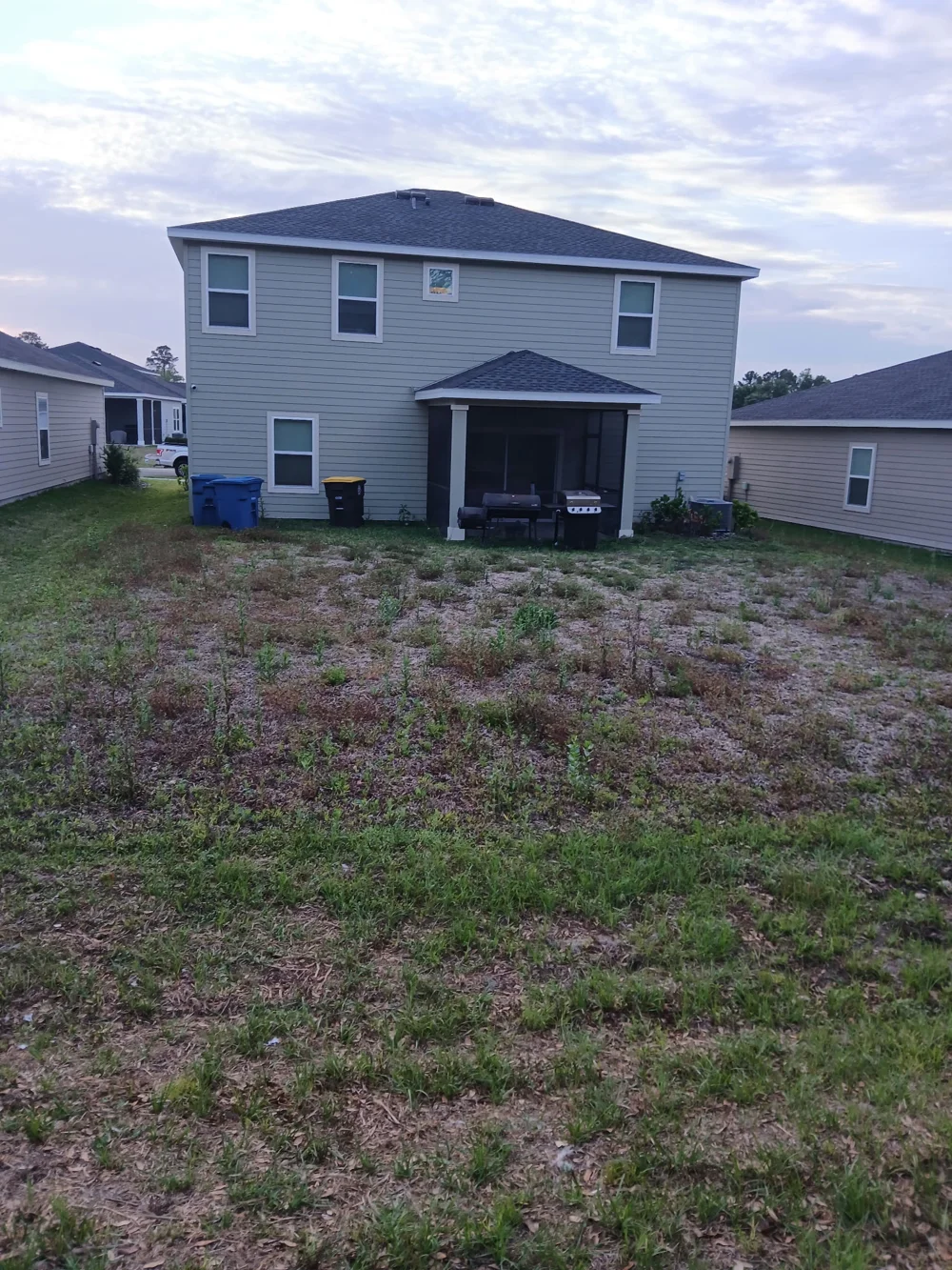 Before lawn and landscape bed care: a freshly maintained backyard