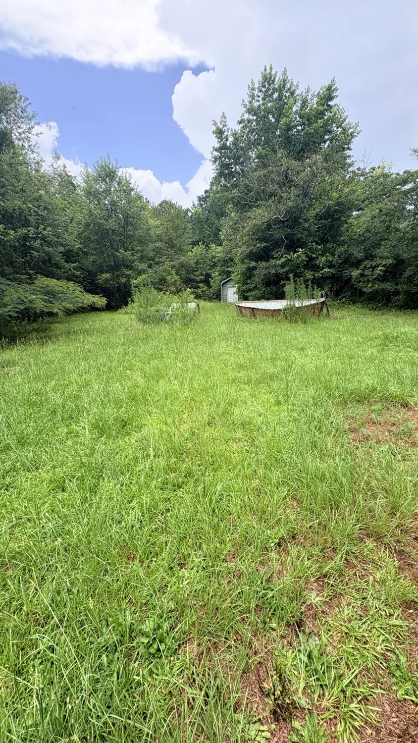 Before lawn mowing: an open yard, freshly cut