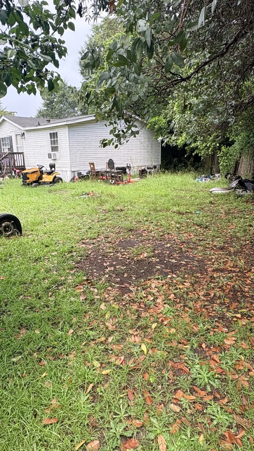Before lawn mowing: a tidy finish beside the home
