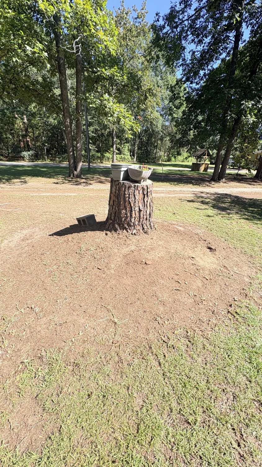 After stump area · another view: finished work by Fixed by Hicks