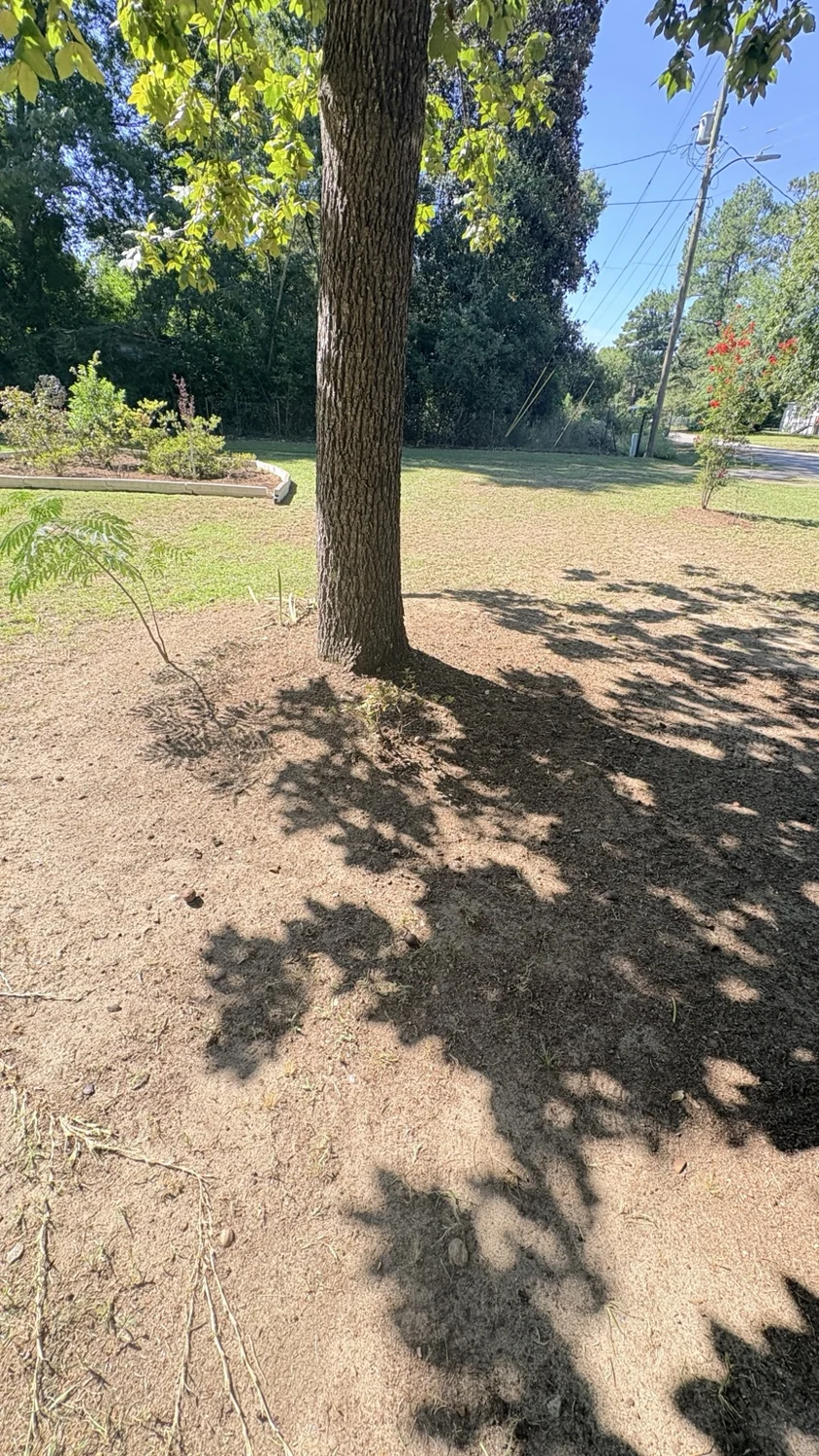 After tree area · roadside view: finished work by Fixed by Hicks