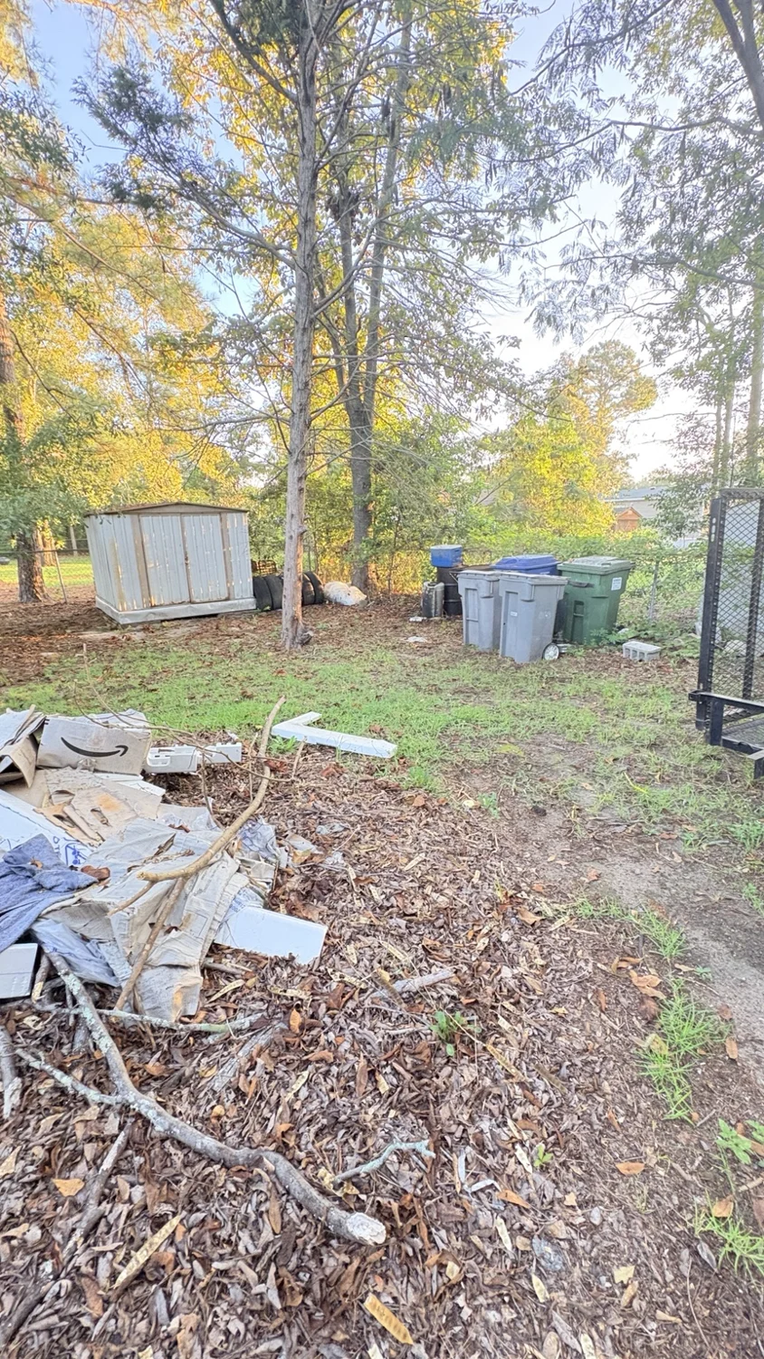 Before backyard cleanup: backyard cleanup