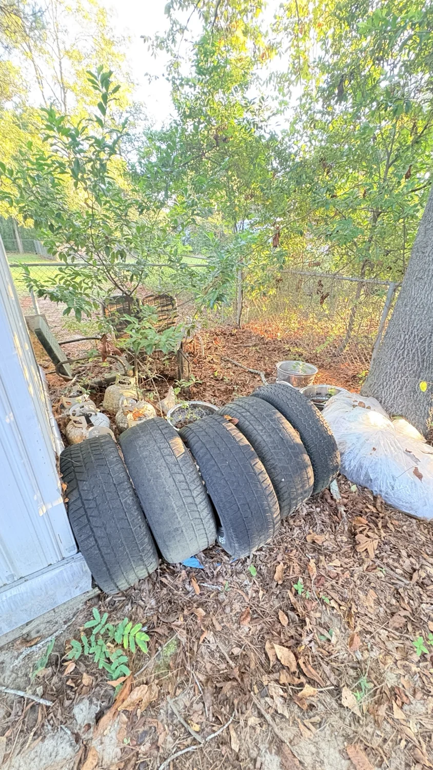 Before backyard cleanup: cleanup beside the shed
