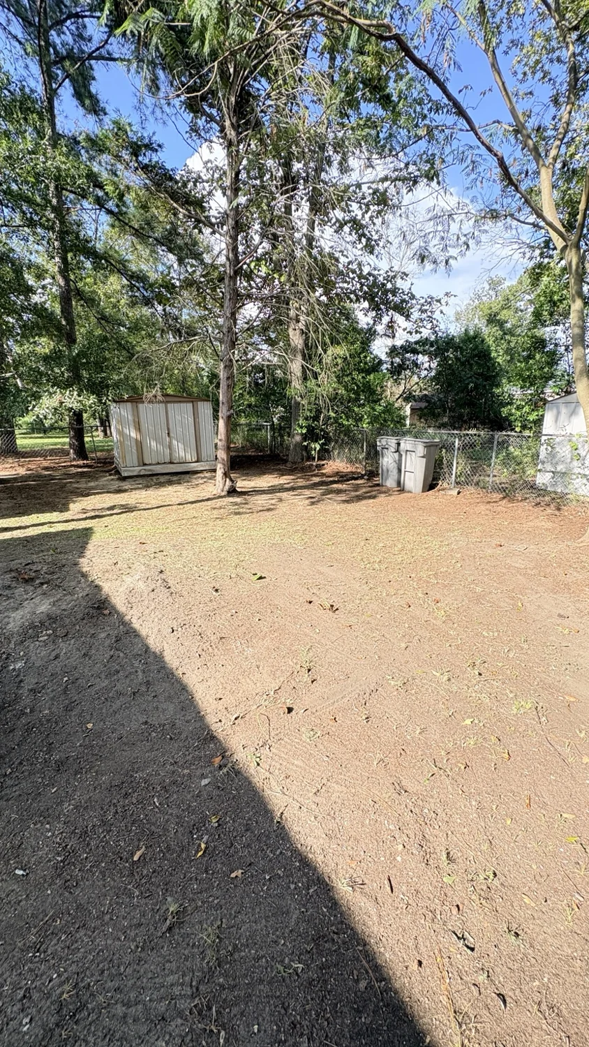 After backyard cleanup: backyard cleanup by Fixed by Hicks